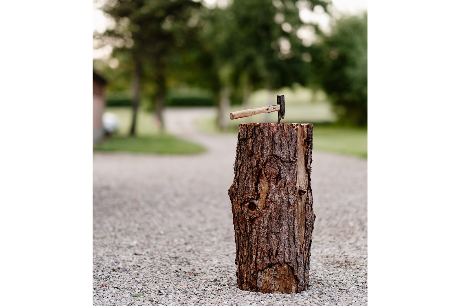 A tree stump and a hammer